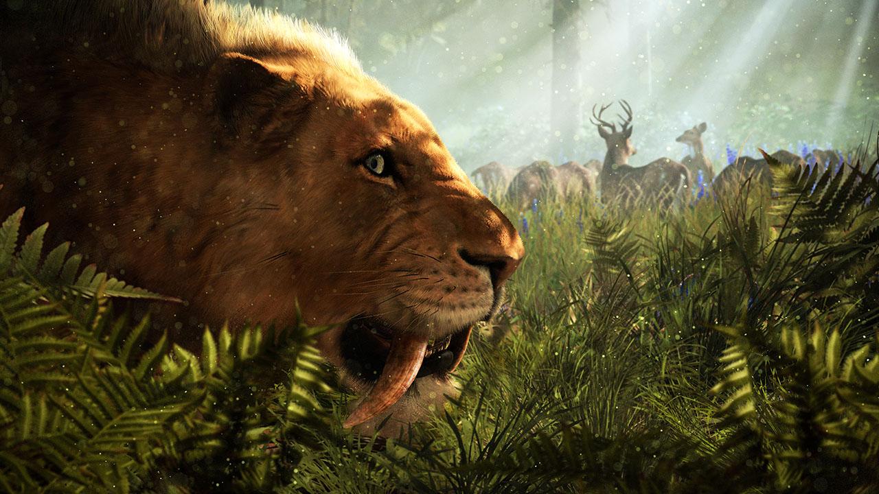 Background