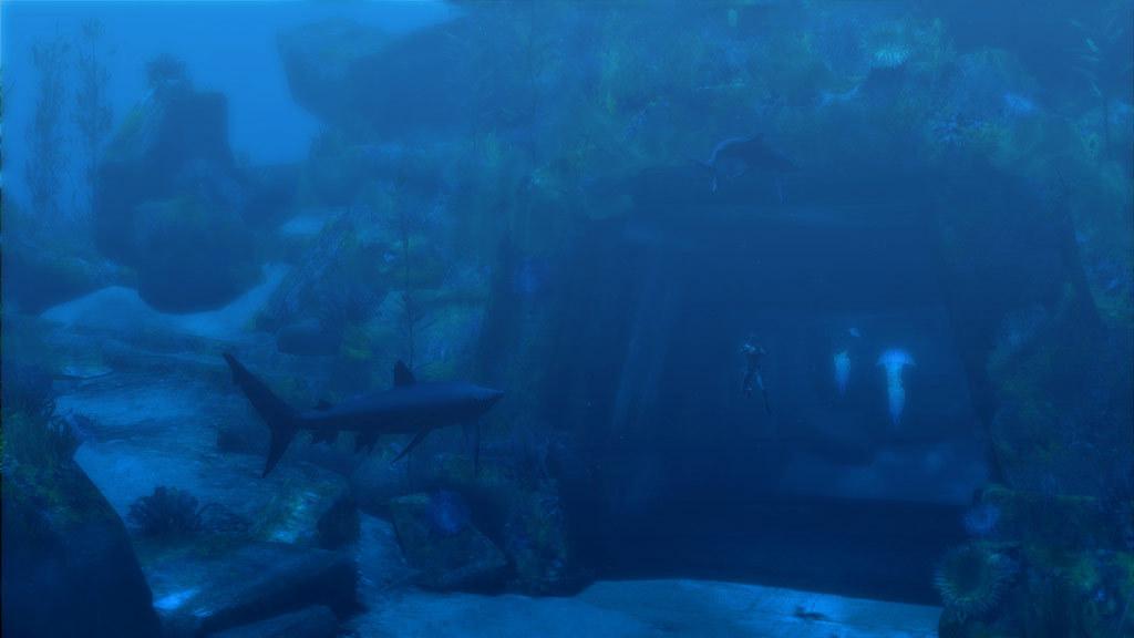 Background for Colin O'Malley