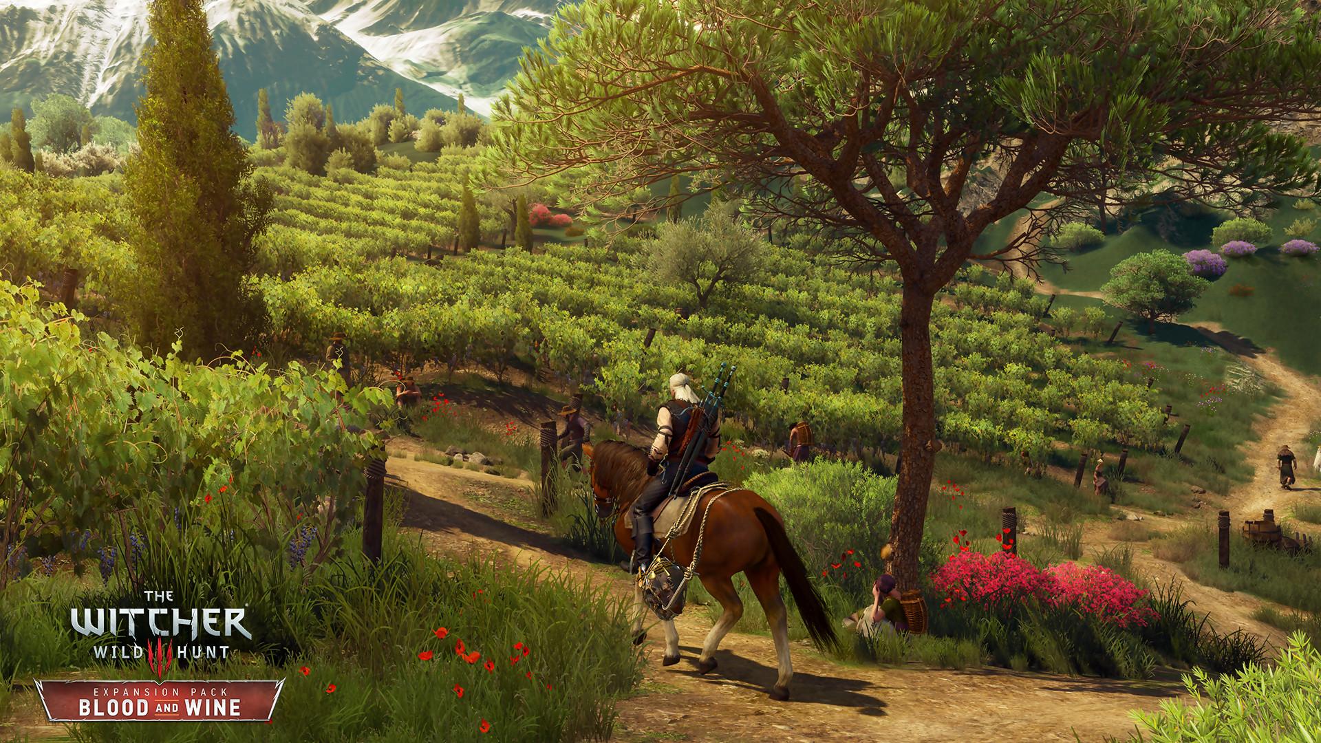 Images The Witcher 3 : Wild Hunt - Blood and Wine
