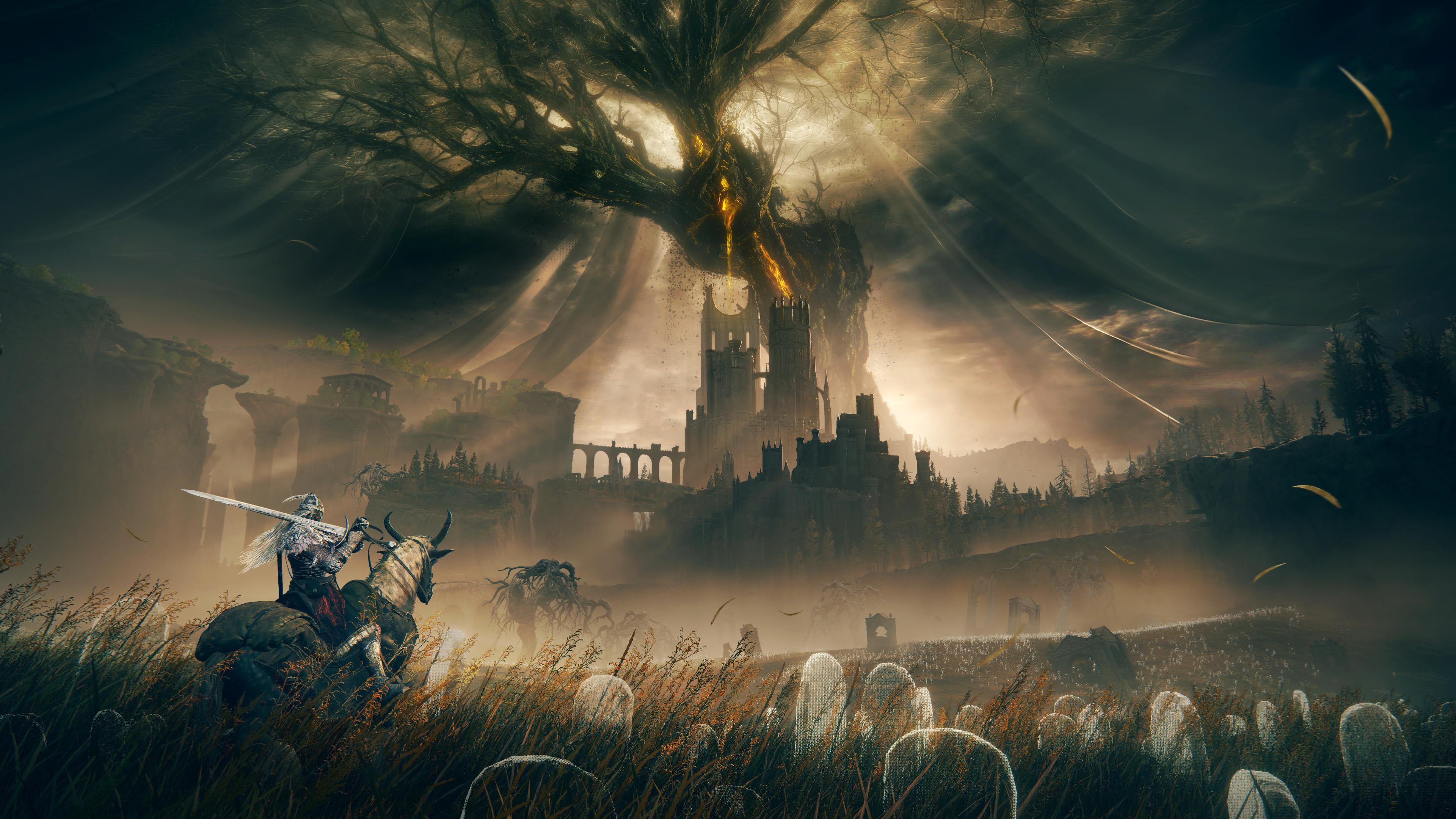 Background for Tai Tomisawa