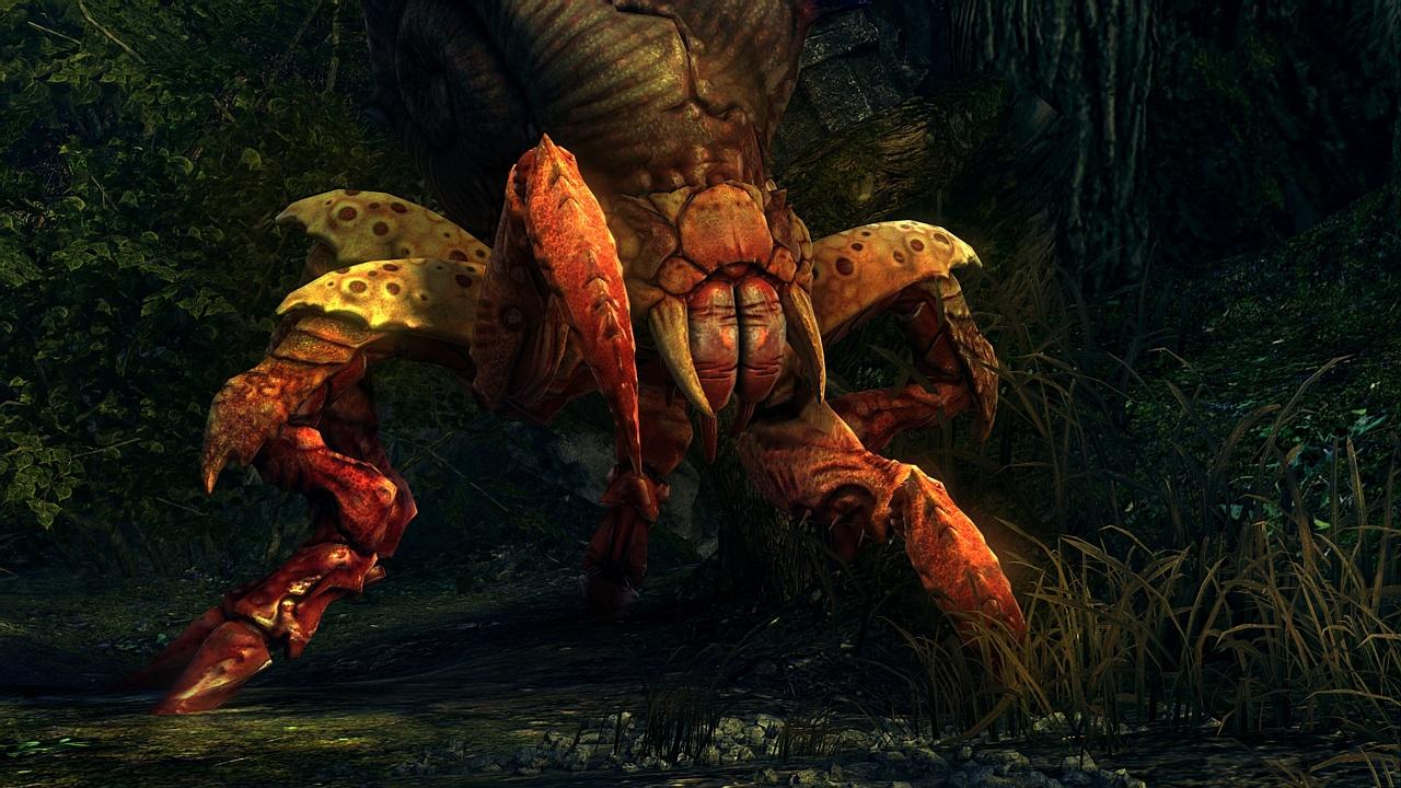 Background for Adam Badowski