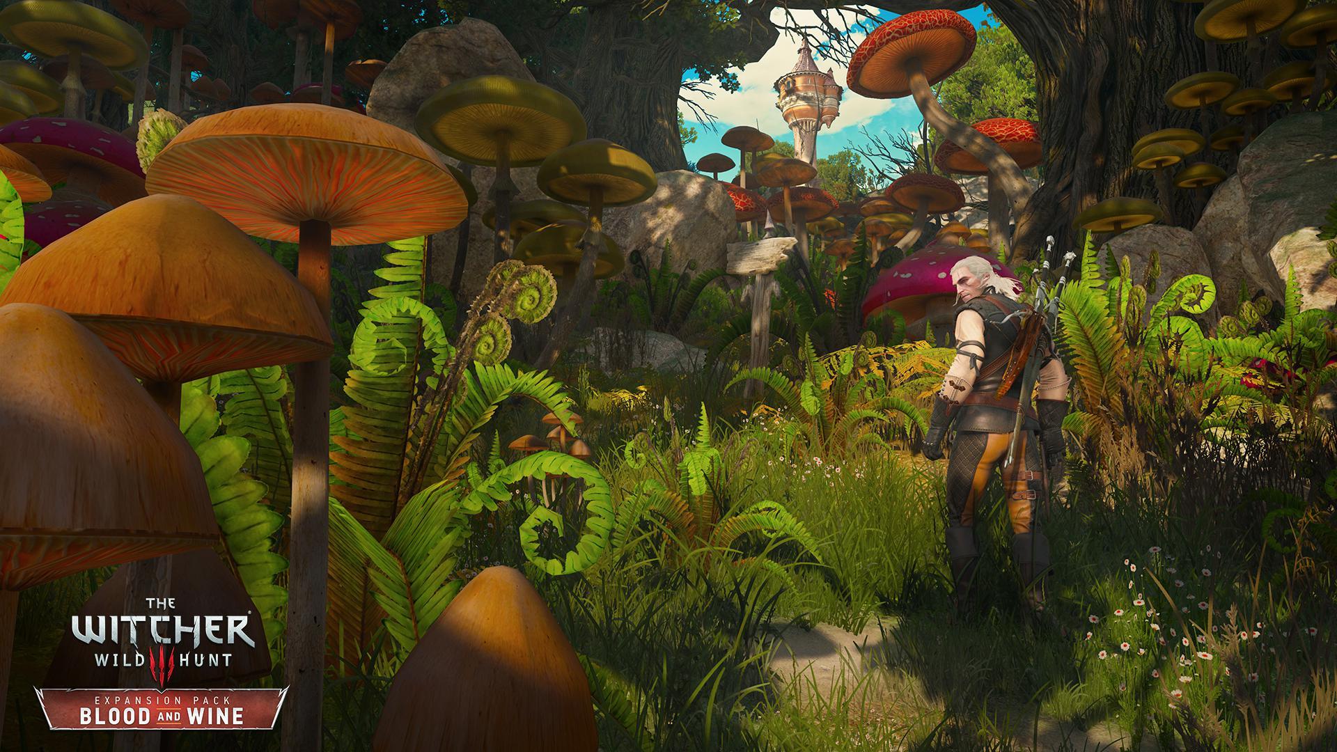 Background for PaweÃ
 Sasko